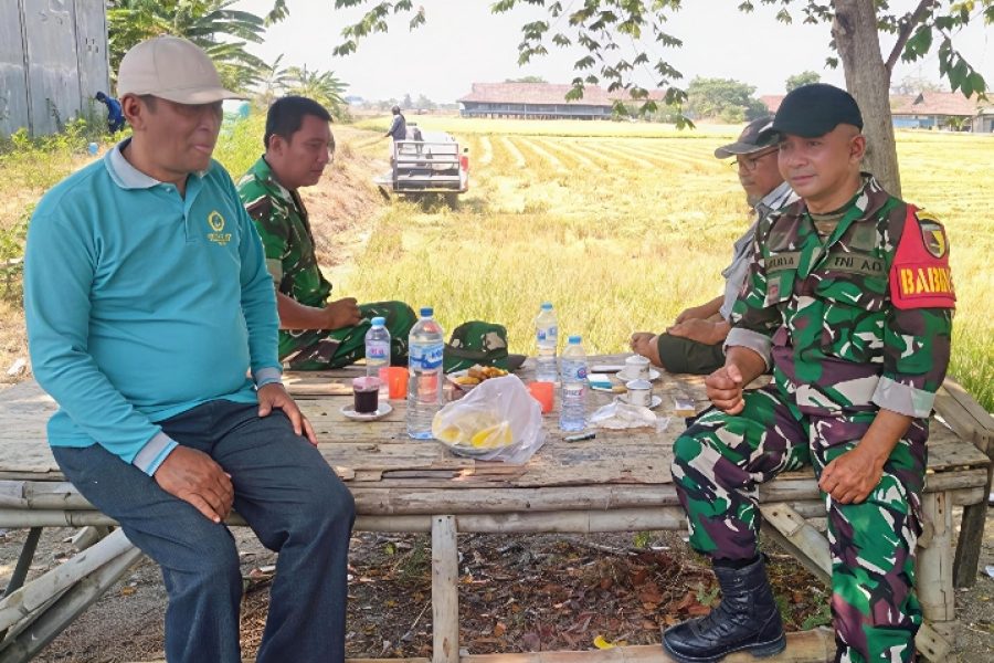 Foto : Bersama TNI, PEMDES, LSM GMBI GRESIK DAN WARGA USAI LAKUKAN GIAT PANEN PADI